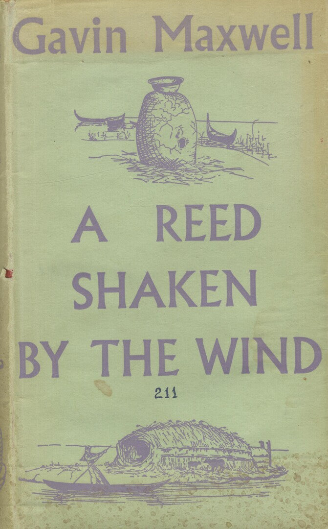 A Reed Shaken by The Wind. A narrative of a personal journey among the reed dwellers of the great marshes.