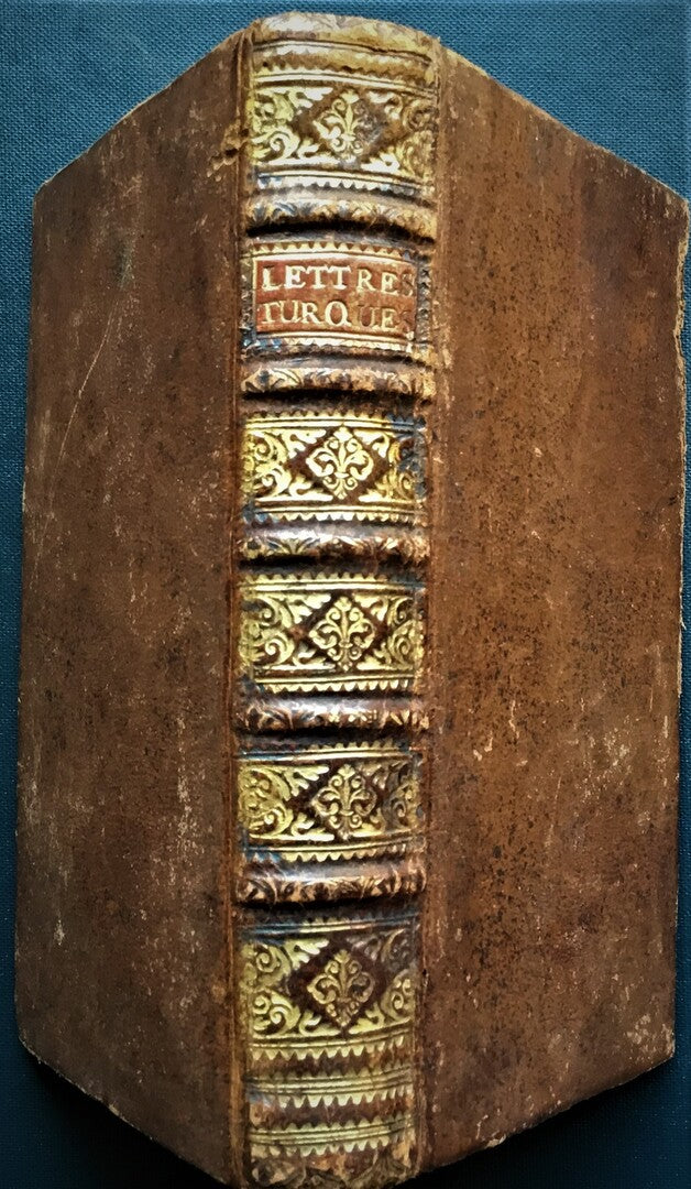 Lettres d'une Turque à Paris, Ecrites à sa Soeur au Sérrail.