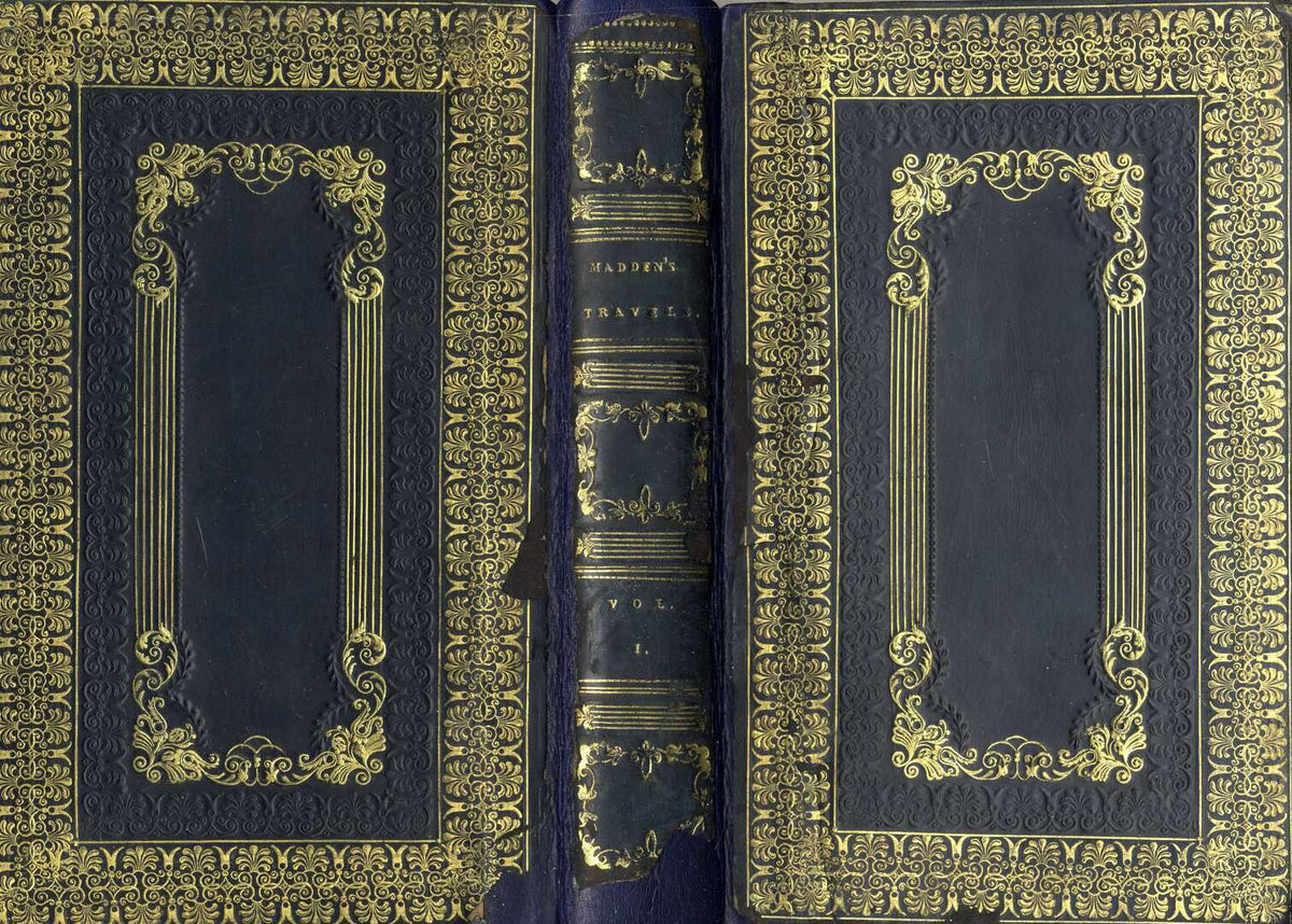 Travels in Turkey, Egypt, Nubia and Palestine in 1824, 1825, 1826 and 1827. TWO VOLUMES.
