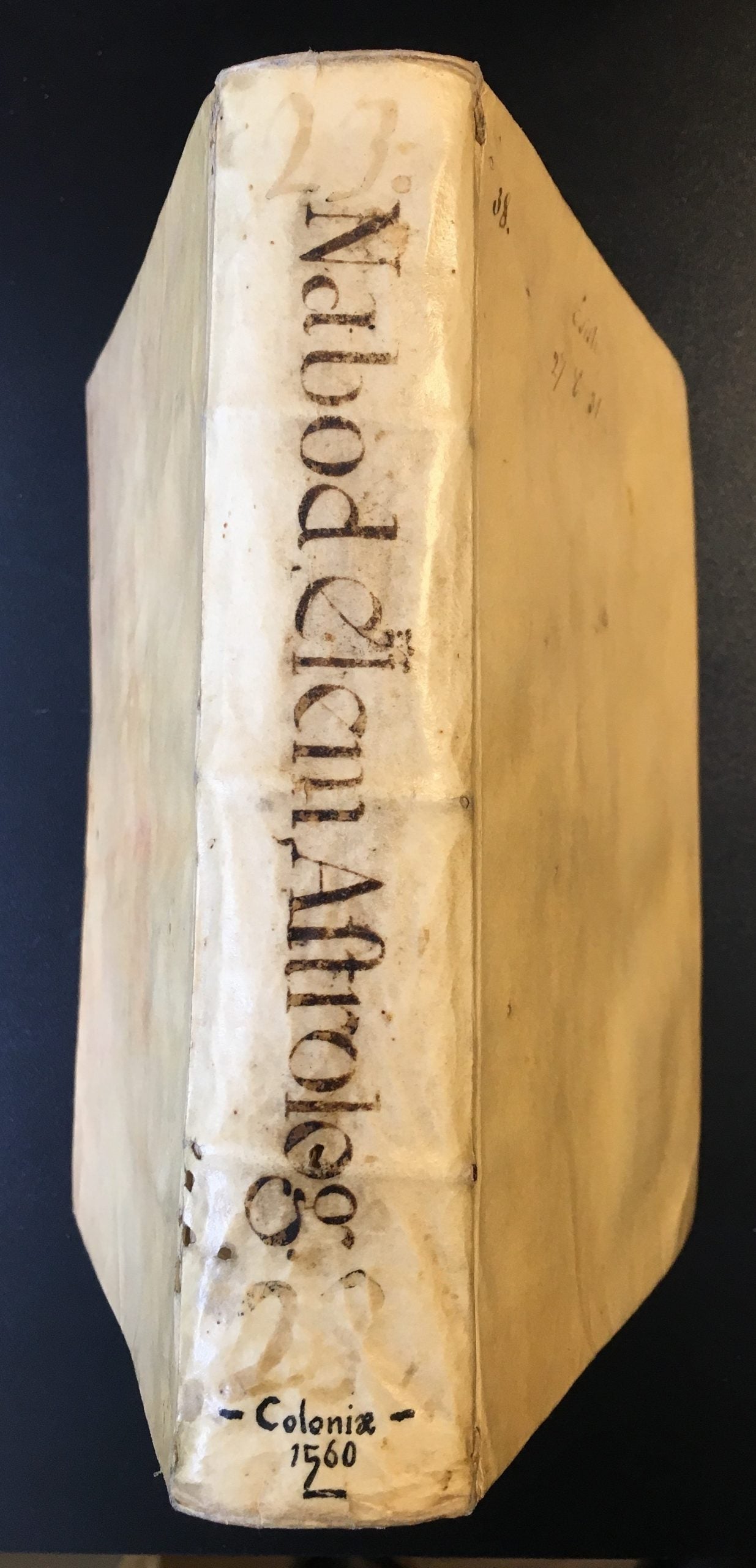 Enarratio Elementorum Astrologiae, in qua praeter Alcabicii, qui Arabum doctrinam compendio proditit...