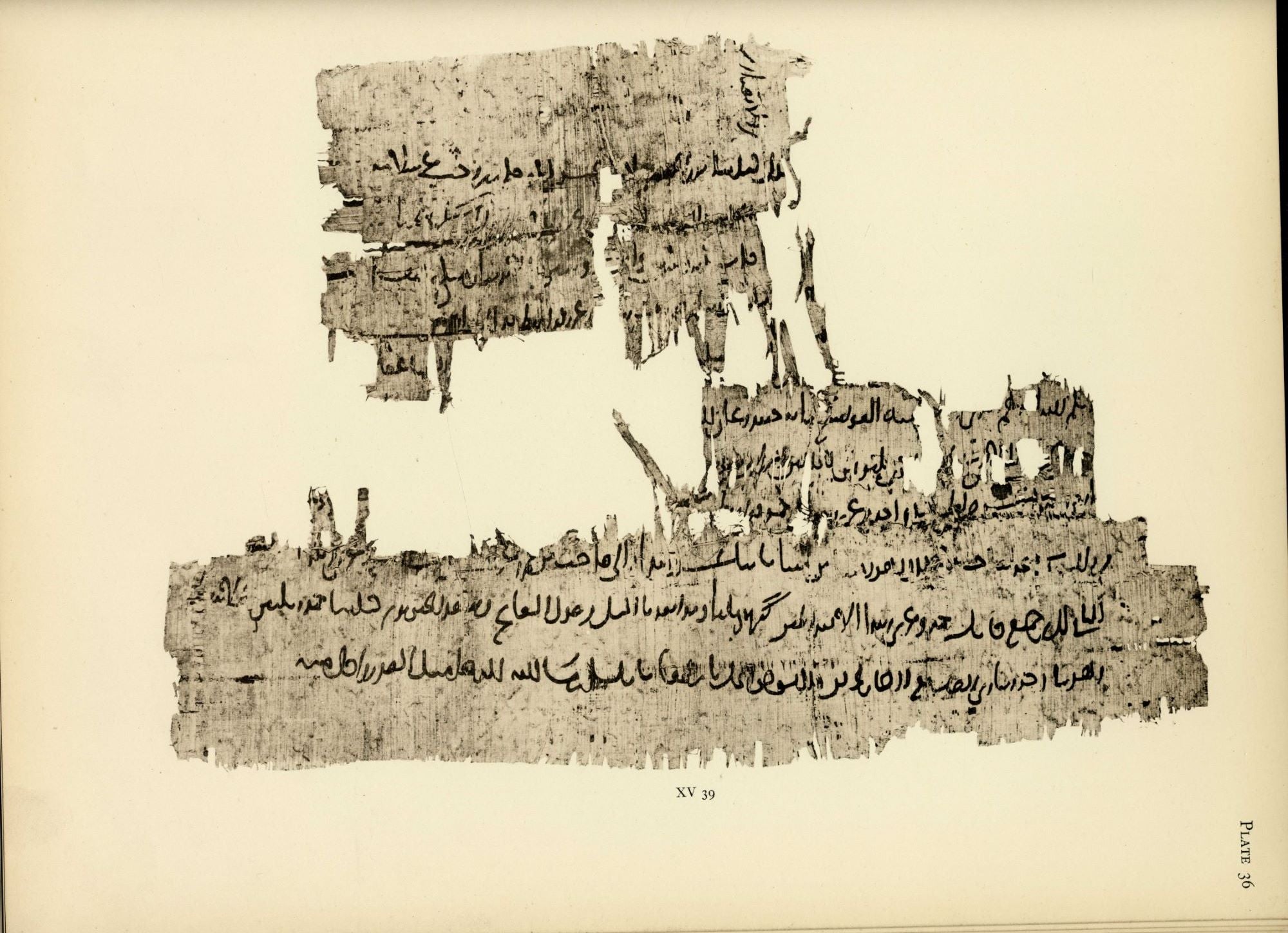 Catalogue of Arabic Papyri in The John Rylands Library Manchester.