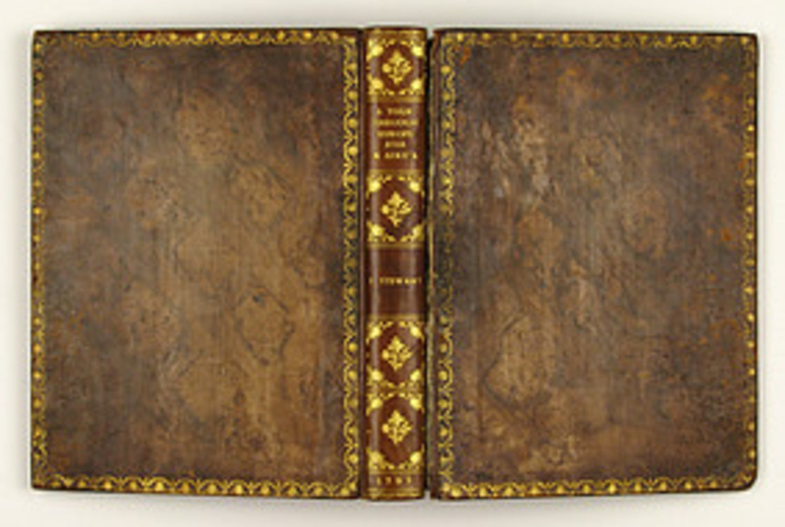 A Picturesque Tour through Part of Europe, Asia, and Africa: containing many new remarks on the present state of Society, Remains of Ancient Edifices, &c.