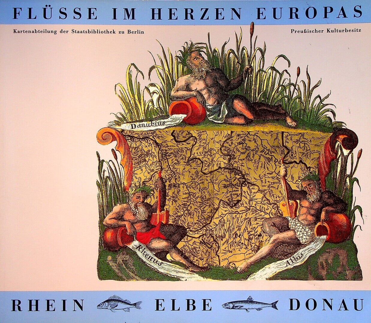 Flüsse im Herzen Europas. Rhein - Elbe - Donau.
