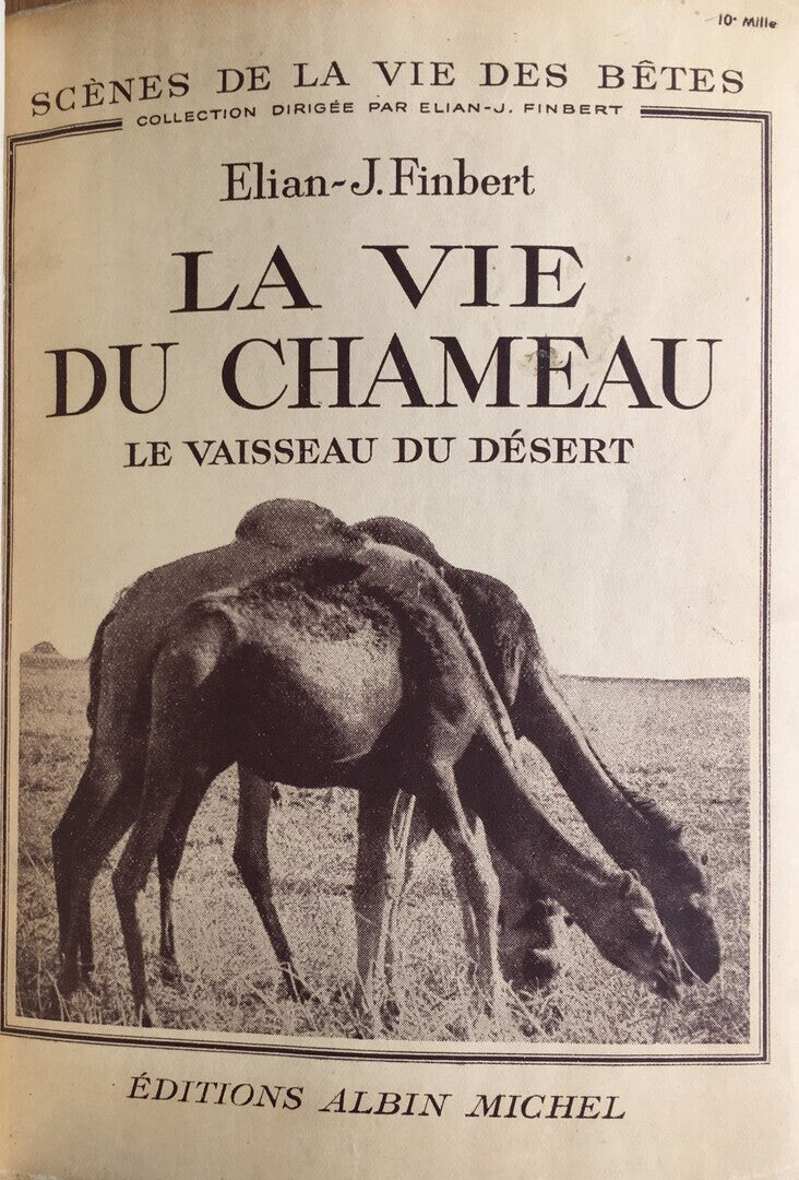 La Vie du Chameau. La Vaisseau du Désert (Scènes de la vie des bêtes).