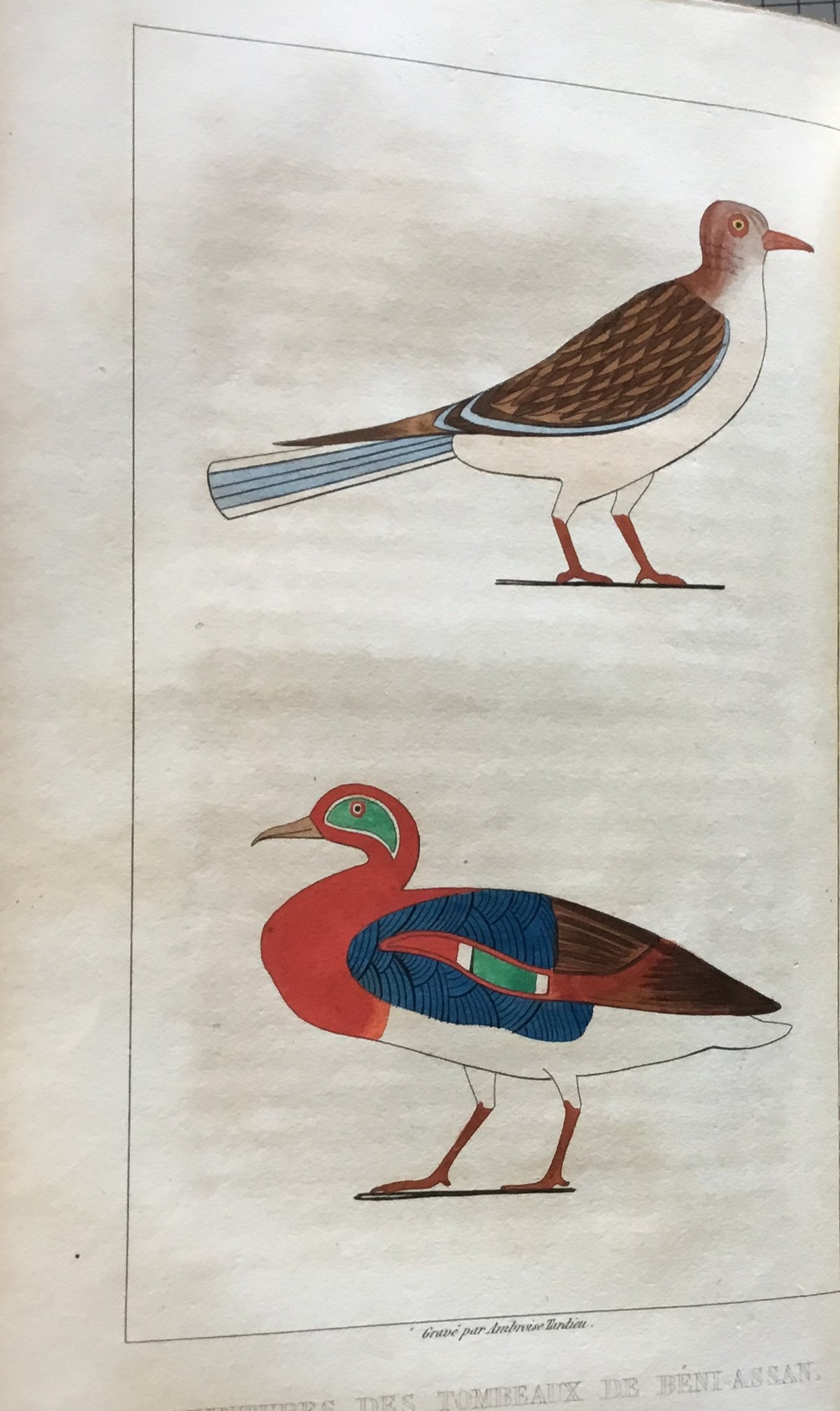 Voyage de Luxor en Égypte, entrepris par ordre du Roi pour transporter, de Thèbes à Paris, l'un des Obélisques de Sésostris.