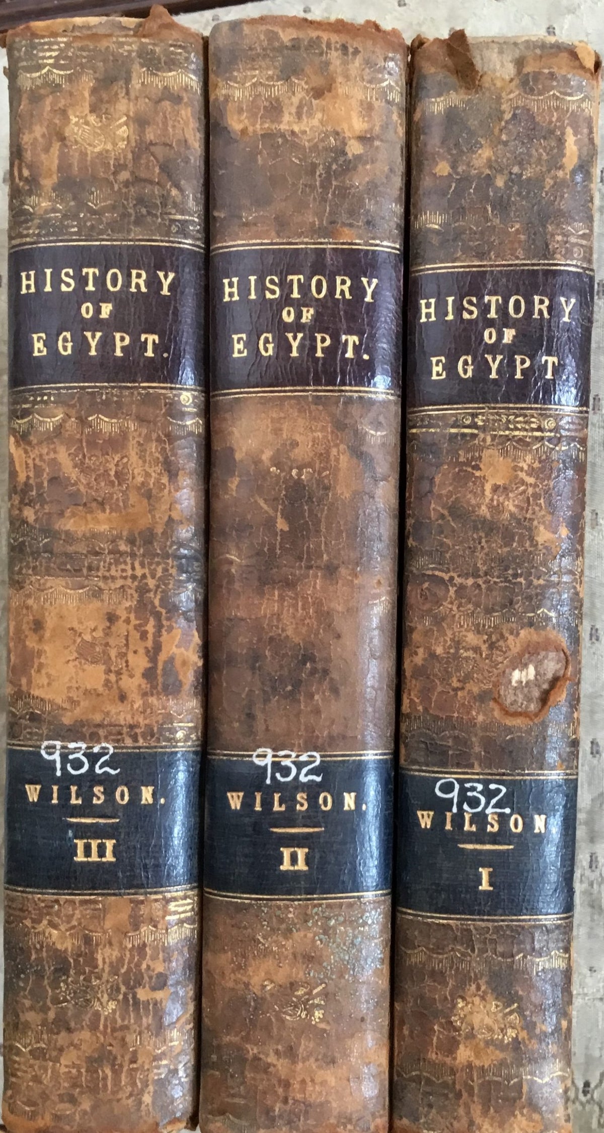 The History of Egypt from the Earliest Accounts of that Country till the Expulsion of the French from Alexandria in the Year 1801. THREE VOLUMES.