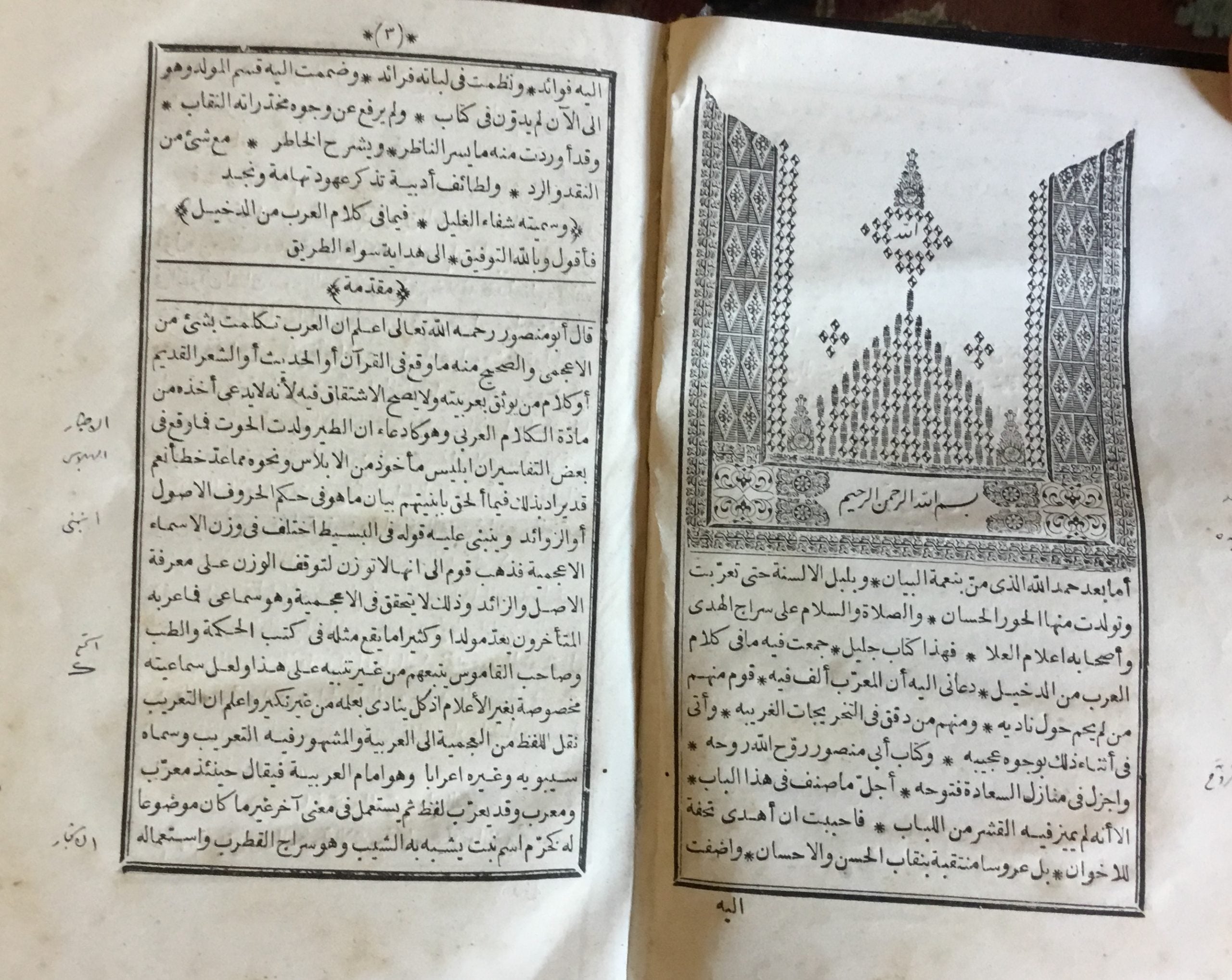 Kitab Shifa’ al-ghalil fi ma fi kalam al-’Arab min al-dakhil.