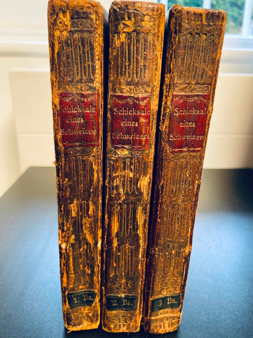 Schicksale eines Schweizers während seiner Reise nach Jerusalem und dem Libanon. [6 PARTS IN 3 VOLUMES].