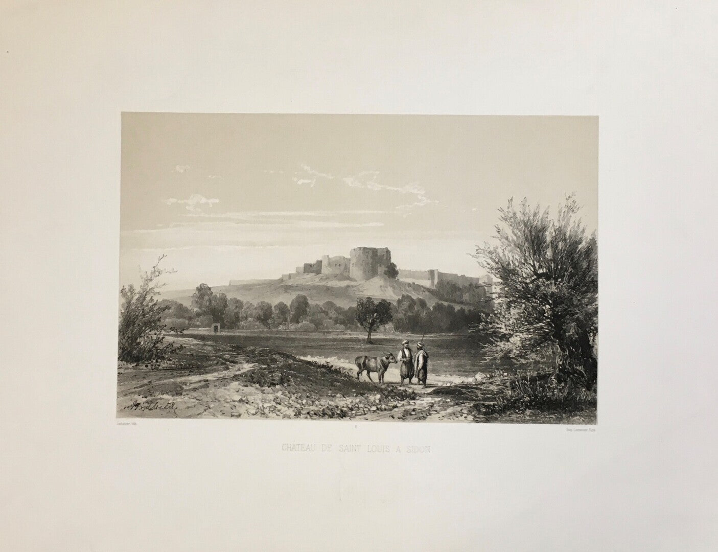 Chateau de saint Louis a Sidon.