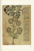 Islamic Miniature Painting in Medical Manuscripts.