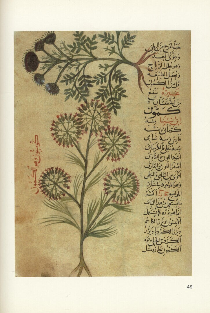 Islamic Miniature Painting in Medical Manuscripts.