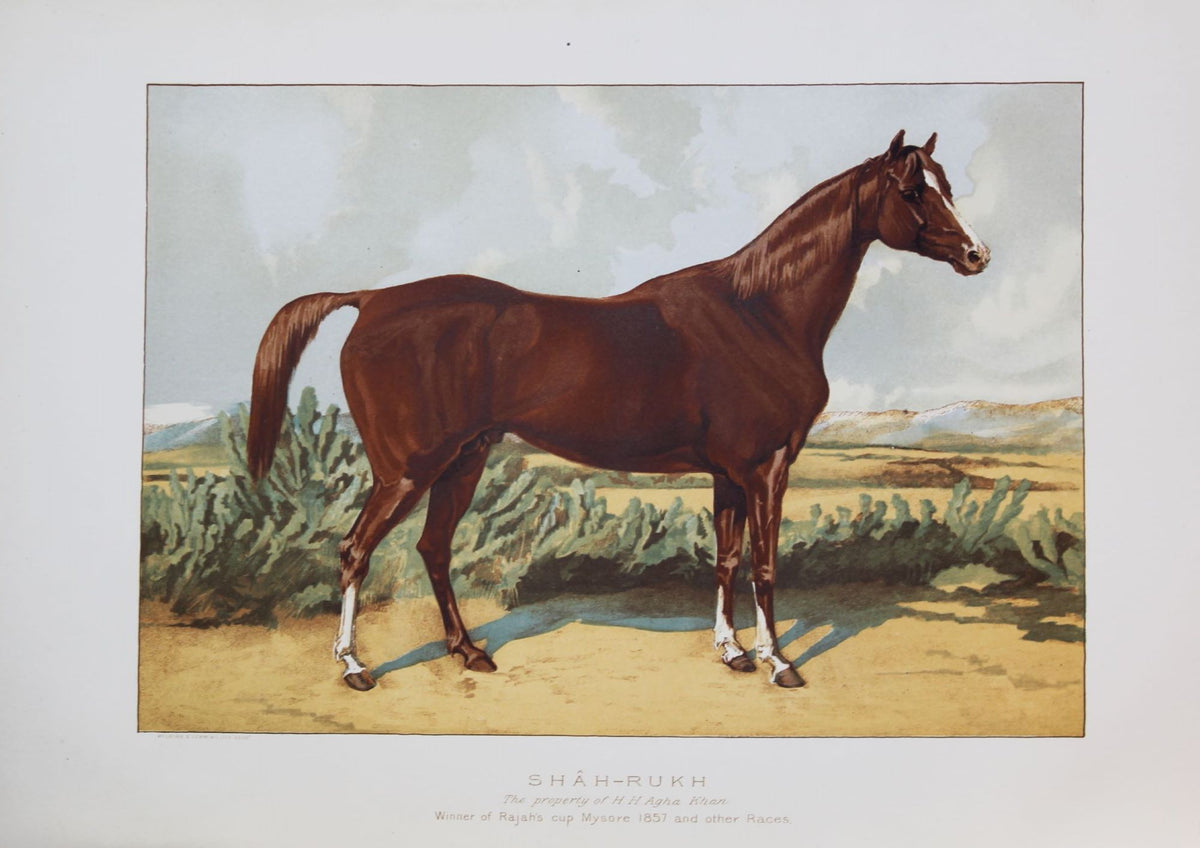The Arabian Horse his Country and People. With portraits of typical or famous Arabians & other illustrations.