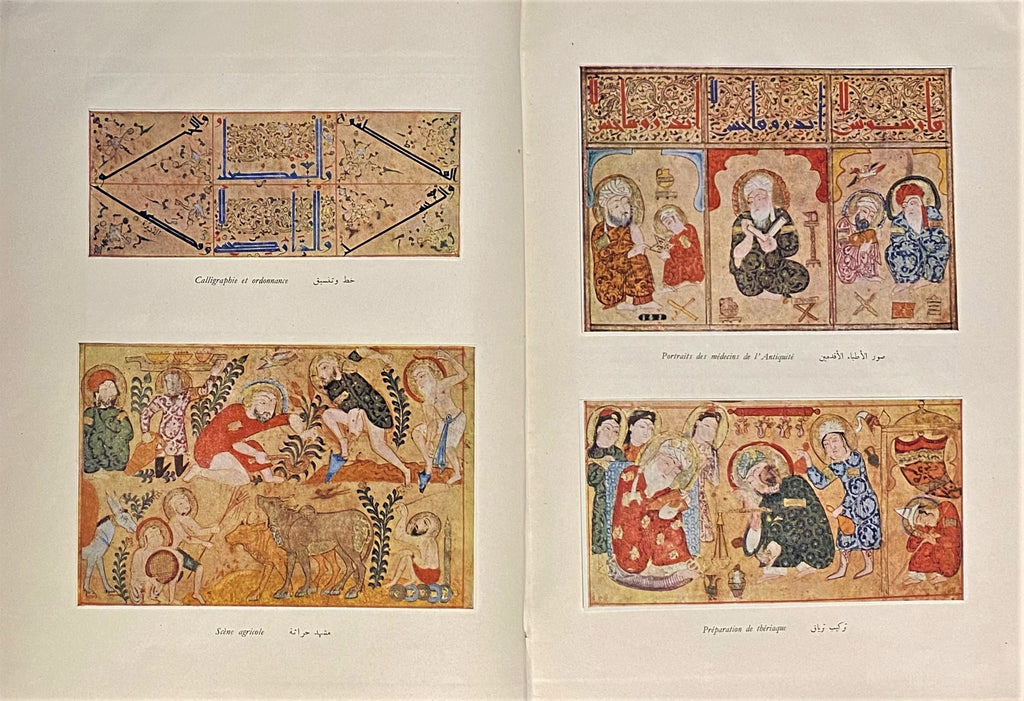 Le Livre de la Theriaque. Manuscrit Arabe a Peintures de la Fin du XIIe Siecle Conserve a la Bibliotheque Nationale de Paris.