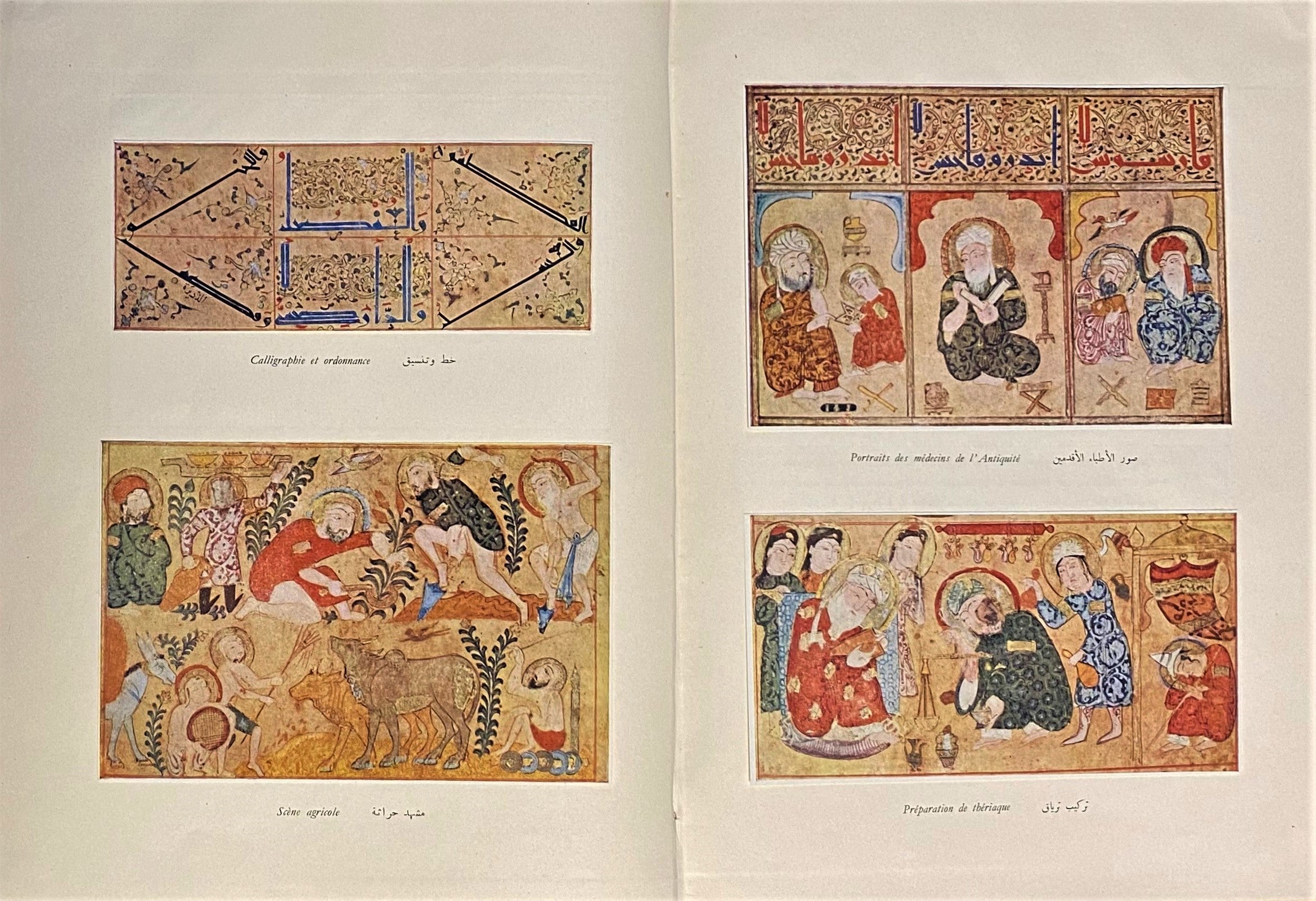 Le Livre de la Theriaque. Manuscrit Arabe a Peintures de la Fin du XIIe Siecle Conserve a la Bibliotheque Nationale de Paris.