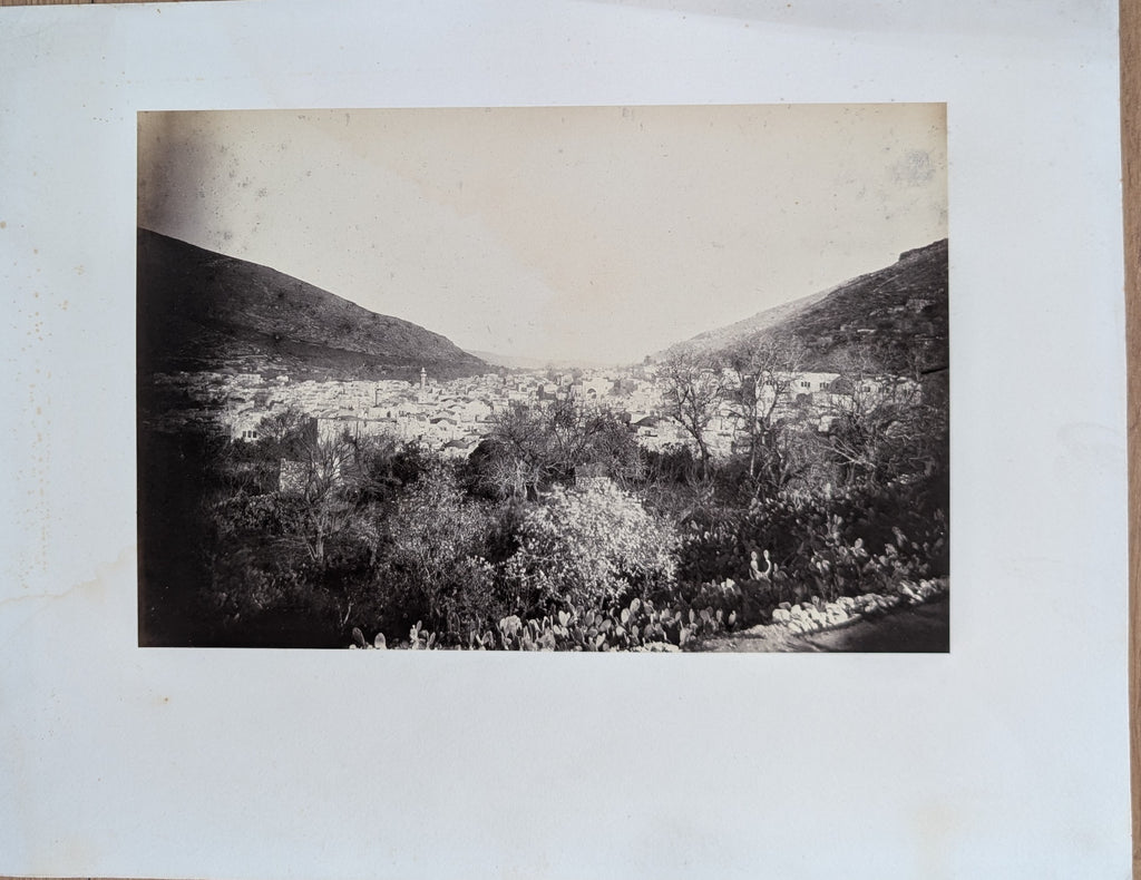Palestine, Syria & Petra 1864