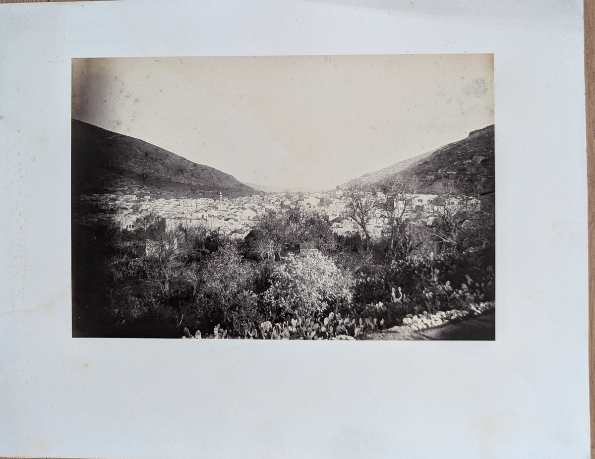 Palestine, Syria & Petra 1864
